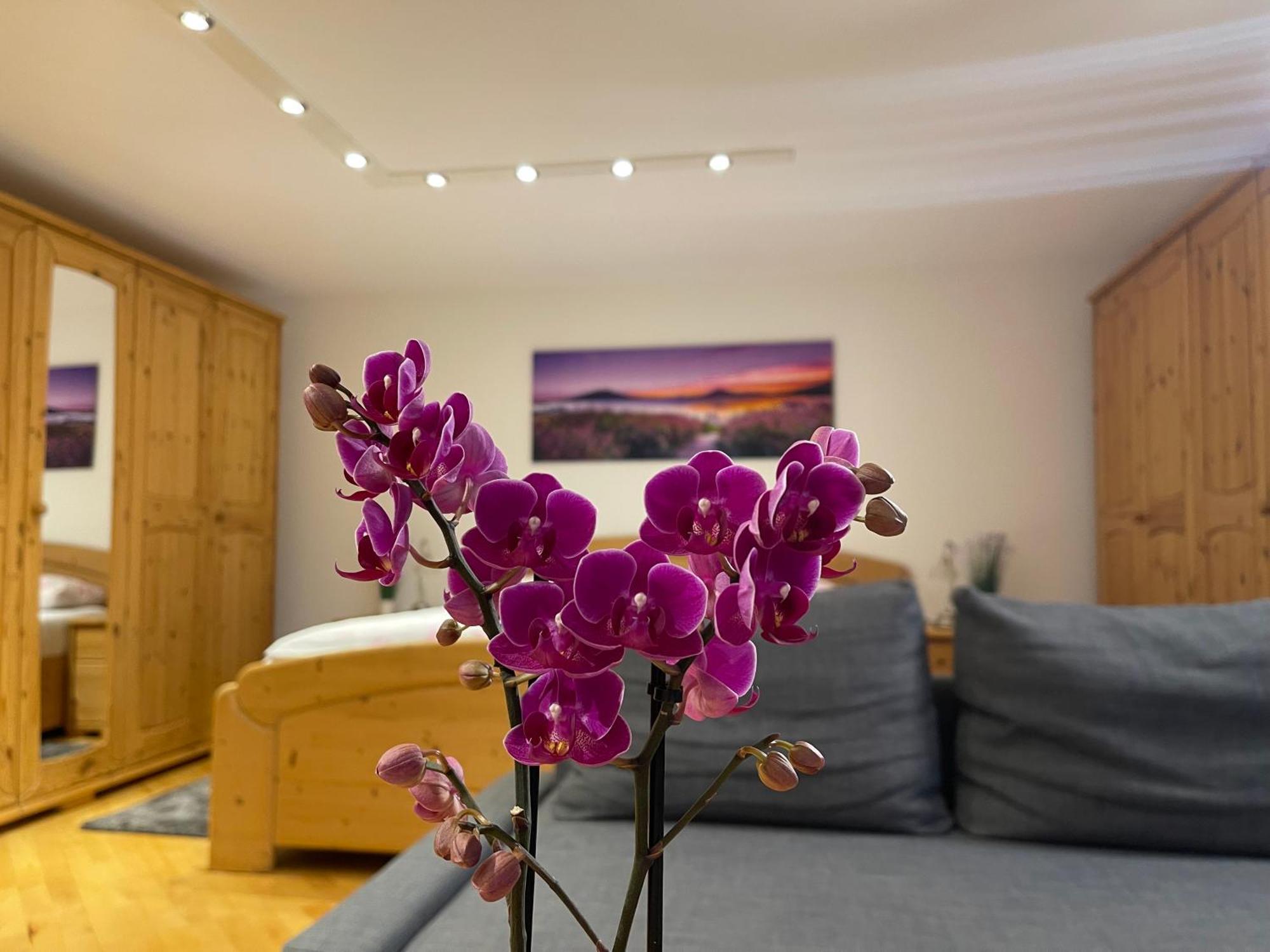 Appartement Mooroom Dalaas